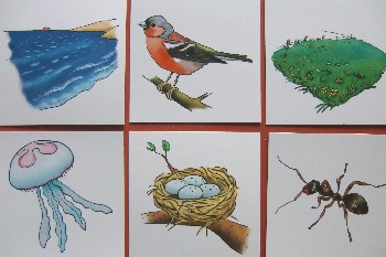 Image 01